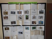 Vánoční výlet - Ekocentrum Mladá Boleslav